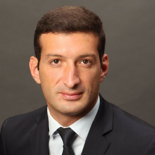 Mikheil Khidureli (CEO of Enterprise Georgia)
